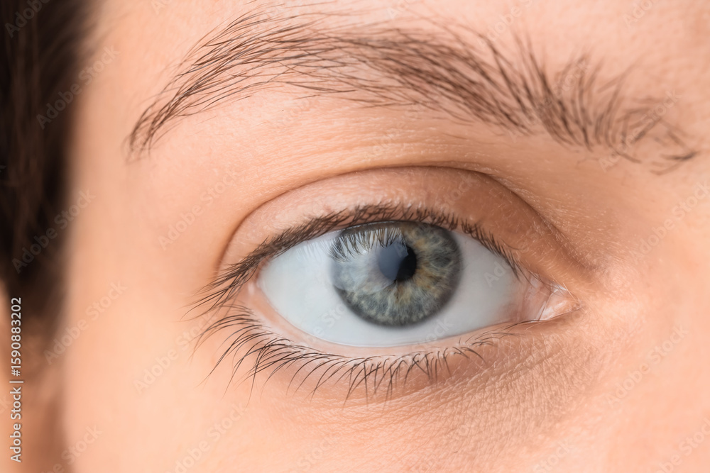 Fototapeta premium Young woman with gray-blue eyes, closeup