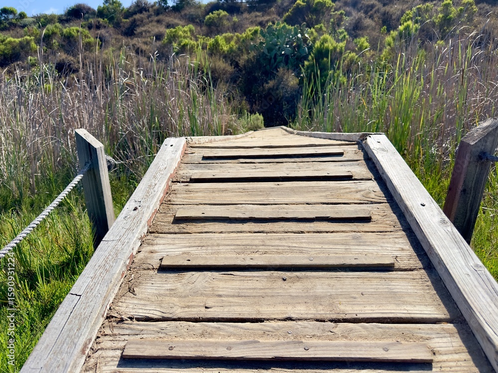 Obraz premium Small Footbridge on Batiquitos Lagoon Trail