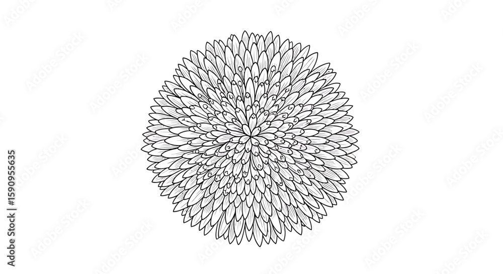 Abstract Floral Illustration A Black and White Circular Design with Leaf Motifs Abstract Floral Illustration A Black and White Circular Design with Leaf Motifs