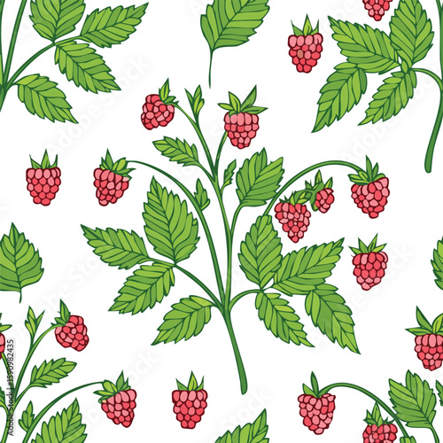 Raspberry Bush Vector Illustration with Seamless Pattern Design