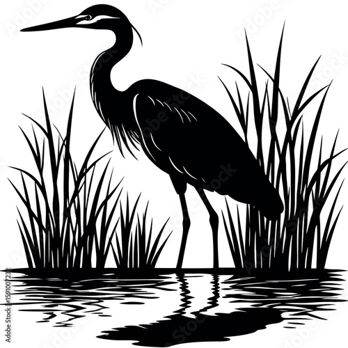 Lone heron standing still in tall grass with reflection
