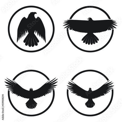 Collection of four flying eagle and bird silhouettes in dynamic flight