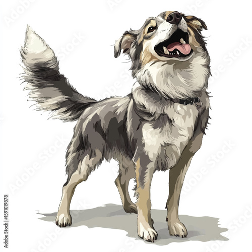 a dog wagging its tail playful