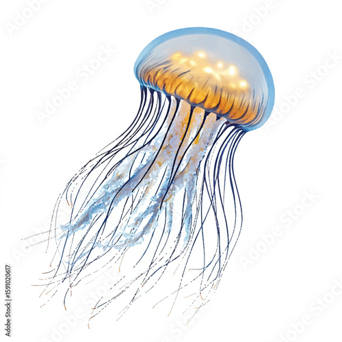 a jellyfish with flowing tentacle