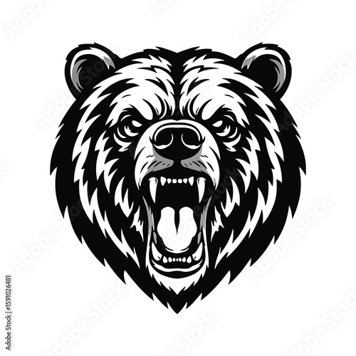 A fierce grizzly bear roars with its mouth open, displaying sharp teeth and an aggressive expression, isolated on a white background