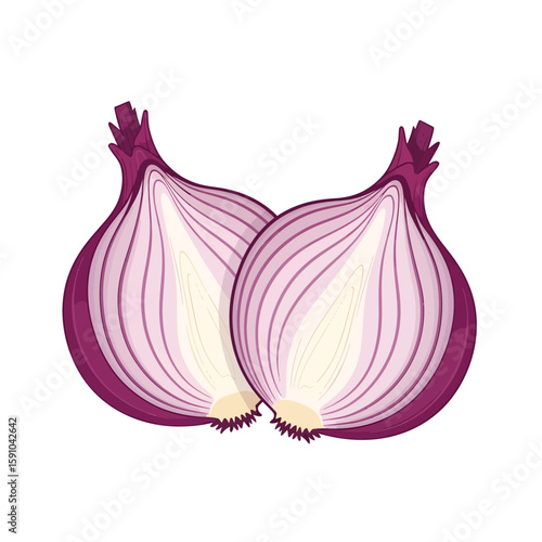 Two halves of a red onion, cut open to reveal the inner layers, isolated on white.