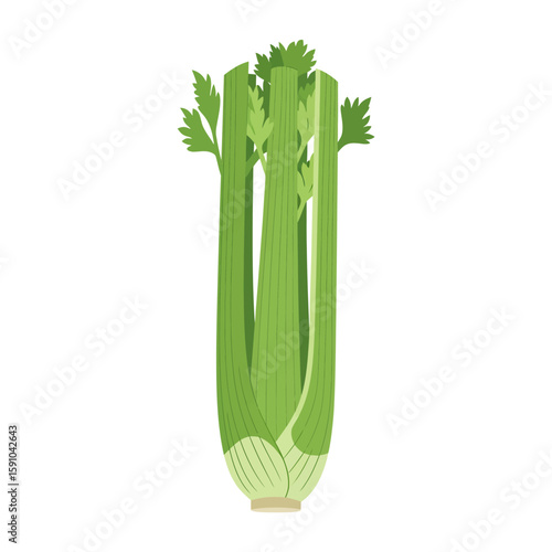Colorful illustration of a fresh celery stalk with vibrant green leaves.