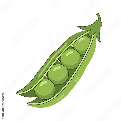 Illustration of a green pea pod, open to reveal four round peas inside, with a stem attached.