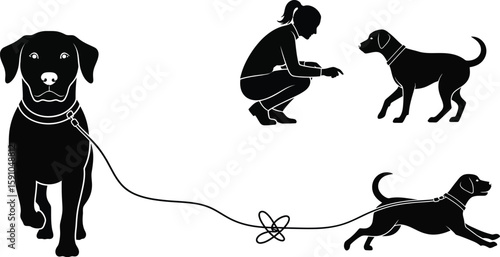 Vector art of a woman is training her dogs, with one dog a leash and another running freely, all