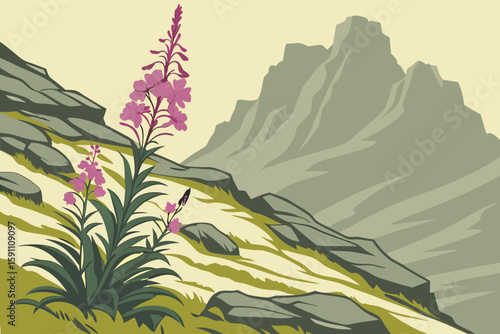 Alaskan fireweed bursting through rocky alpine terrain with rugged cliffs in the background and mist curling between stones