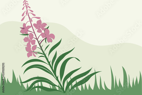 A single tall Alaskan fireweed plant rising above meadow grass, its pink petals opening in tiers against a soft pastel background,