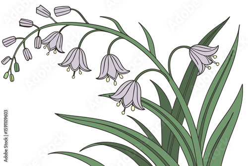 Close-up of delicate Alaskan fireweed blossoms swaying in the breeze with visible purple veins and lush green stems