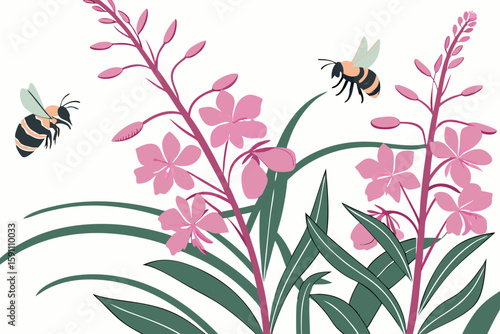 Honeybees collecting nectar from Alaskan fireweed flowers with fuzzy detail on their wings and legs, set in a vibrant summer field
