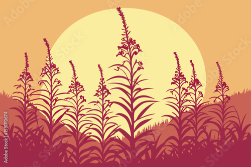 A dreamy sunset behind a dense wall of Alaskan fireweed, each stem outlined against golden-orange light, modern flat illustration style