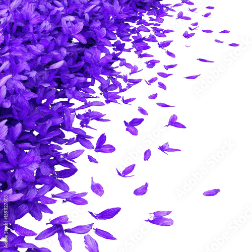 Purple petal burst on a clean white background. Left-weighted scatter with airy negative space to the right. Expresses celebration, transition, and calm optimism. Ideal for branding, invitations