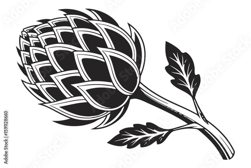 A single hop flower with leaves and stem isolated on white background
