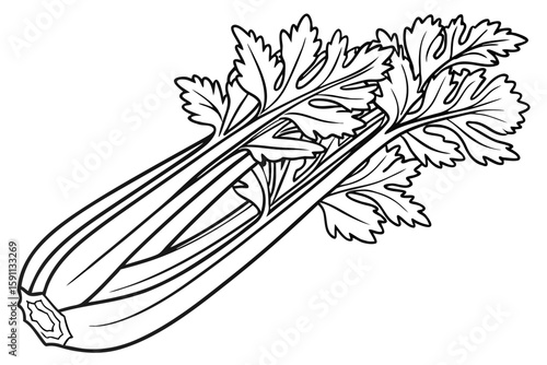 A detailed black and white illustration of celery stalks