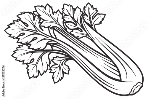 A detailed black and white illustration of celery stalks