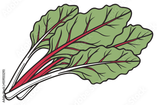 A bunch of fresh chard with vibrant red stems