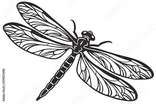 A black and white illustration of a dragonfly