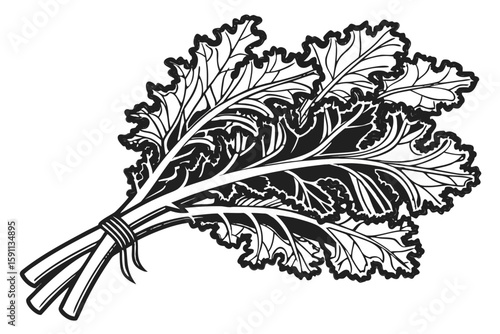 A bunch of kale leaves tied together