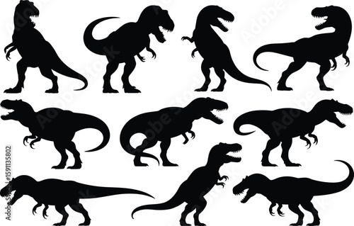 Trex Dinosaur Black Silhouette Set on White Vector Illustration