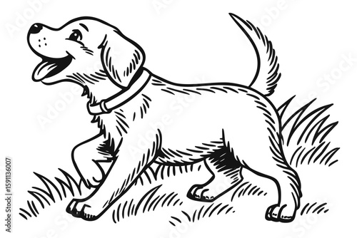 A playful puppy dog with a collar