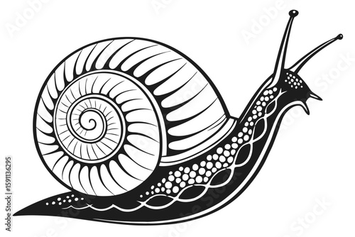 Decorative snail illustration with intricate shell pattern