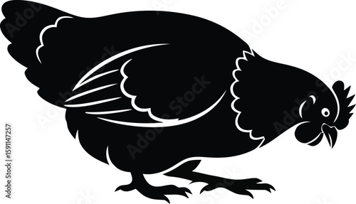Hen Silhouette Black and White Farm Animal Illustration, Poultry Livestock Graphics for Projects