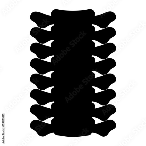 Black and white illustration of a thoracic spine anatomy for medical study