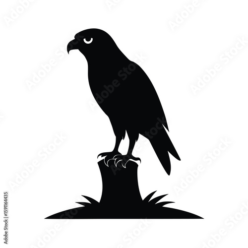 Silhouette of a majestic hawk perched firmly on a textured tree branch against a clean background