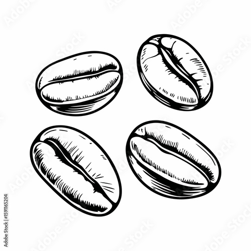Hand-drawn coffee beans in black and white sketch style on white background, representing roasted aroma, fresh ingredients, and specialty café product
