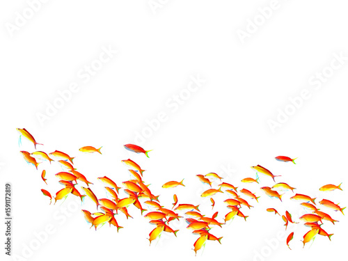 School of Orange color fish illustration