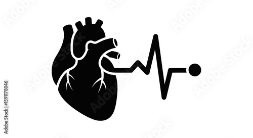 Anatomical heart illustration showing a heartbeat rhythm, representing healthcare, medicine, cardiology and vital signs.