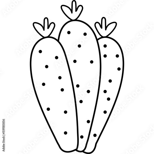 Cactus Outline