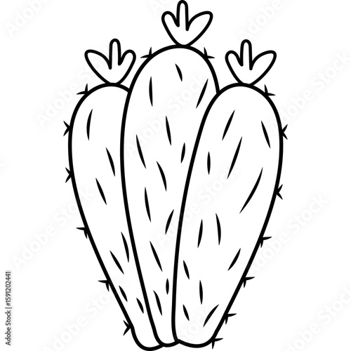 Cactus Outline