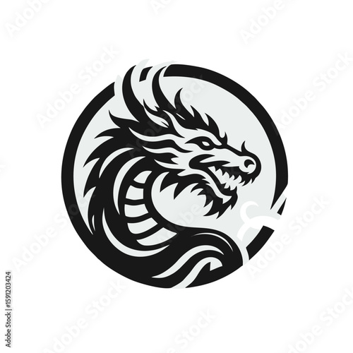Dragon shield emblem logo icon design
