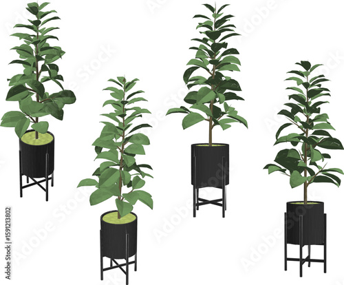 Vector sketch illustration of ornamental plant design in pot for room interior