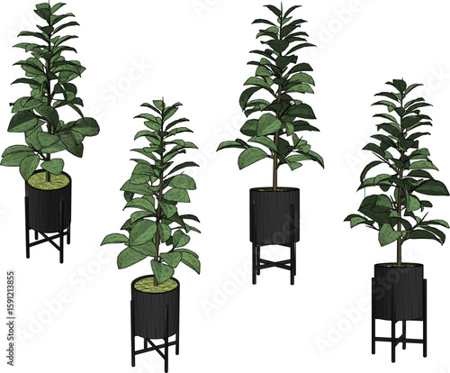 Vector sketch illustration of ornamental plant design in pot for room interior