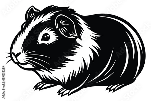 Monochrome guinea pig illustration shows its thick fur in a simple, captivating way