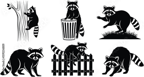 A collection of black and white raccoon illustrations depicting various poses and activities in a cartoon vector art style.