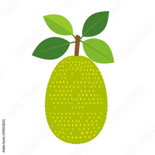 Stylized green jackfruit illustration with a dotted rind, brown stem, and four fresh leaves.