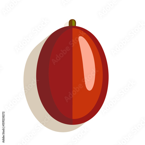 Glossy red elliptical fruit with a brown stem, rendered in a flat vector style.