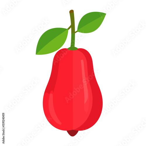 Vibrant red bell-shaped Rose Apple fruit with a brown stem and two green leaves.