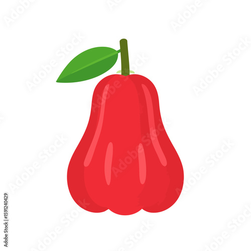 Vibrant red wax apple illustration, a bell-shaped tropical fruit with a single green leaf and stem.