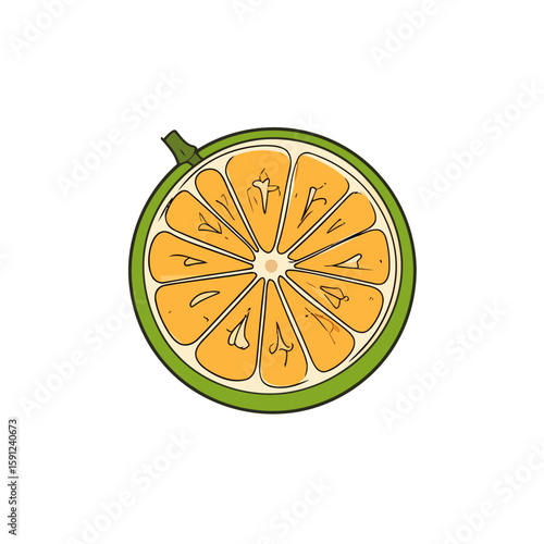Stylized hand-drawn illustration of a sliced lime cross-section with vibrant green rind and orange pulp.