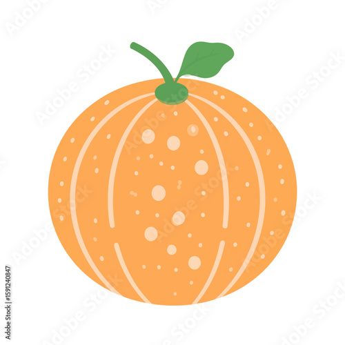 Stylized orange fruit illustration with a patterned peel, featuring stripes, dots, a green stem, and a single leaf.
