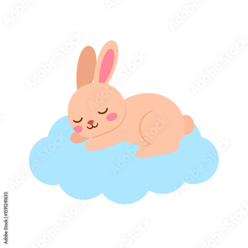 Adorable pink cartoon bunny with rosy cheeks sleeping peacefully on a fluffy blue cloud.