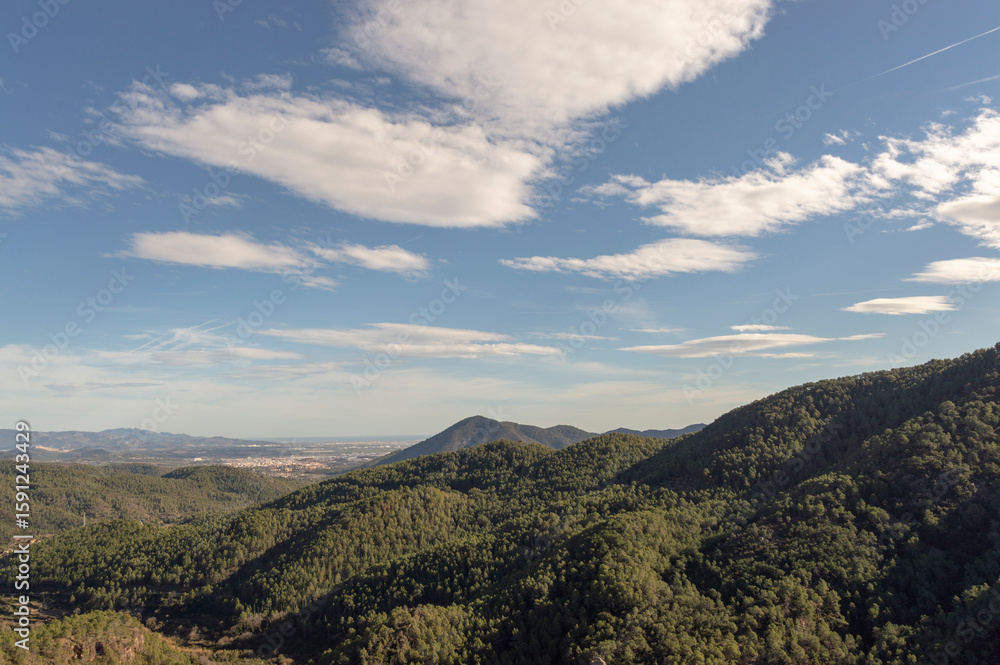 Fototapeta premium mountainous landscape full of pine trees in the natural park of the sierra de espadan