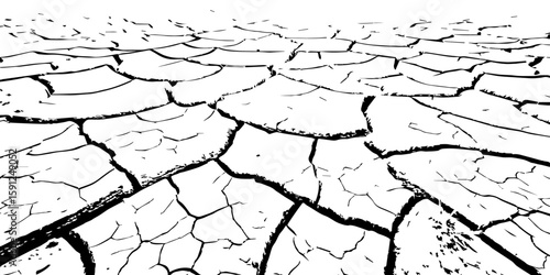 A stark, high-contrast, black and white close-up of parched, cracked earth, illustrating severe drought and environmental degradation. The cracks extend towards a vanishing point